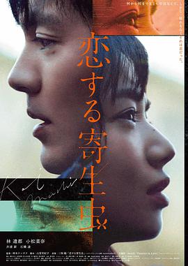 电影《雪国来信》海报